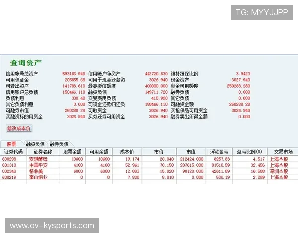 2026世界杯防盗防封全指南：淘汰赛账户资产安全盾使用教程纯净版